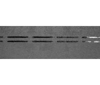 Коньково-карнизная черепица PIE PREMIUM - Черника Коньково-карнизная черепица PIE PREMIUM - Черника